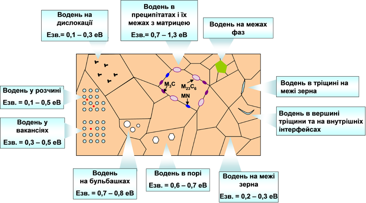 Світлина